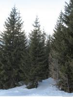 Photo Texture of Background Tyrol Austria 0013